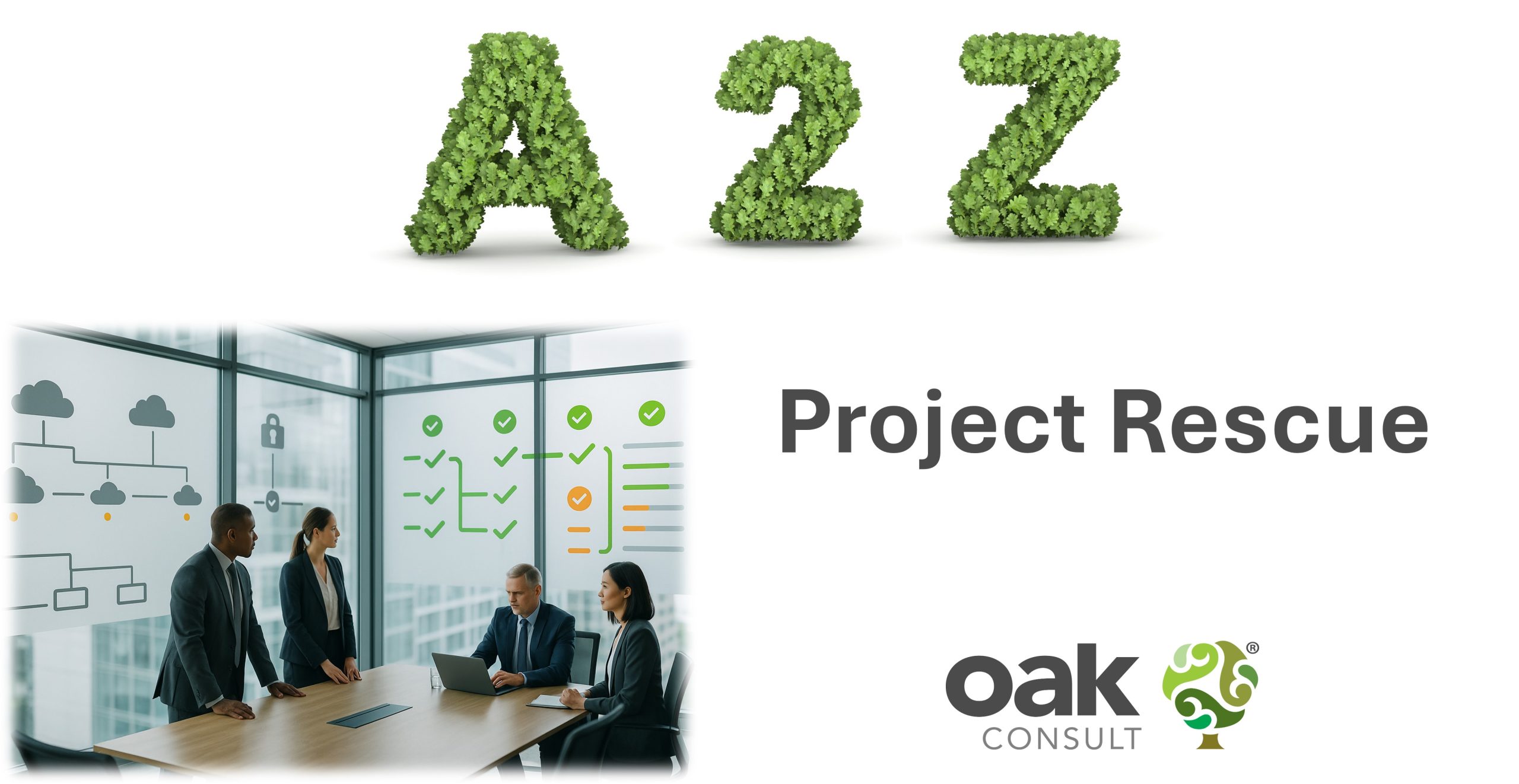 Project Rescue Services The A to Z of Project Rescue - Oak Consult